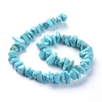 Natural Magnesite Beads Strands TURQ-G152-C01-1