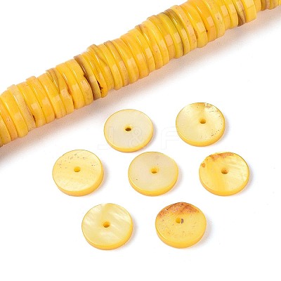 Natural Freshwater Shell Beads Strands SHEL-N037-03A-06-1