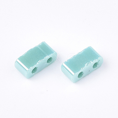 2-Hole Opaque Glass Seed Beads SEED-S023-06E-1