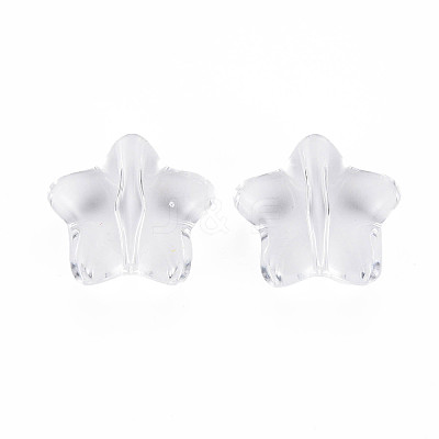 Transparent Acrylic Beads TACR-T003-27-1