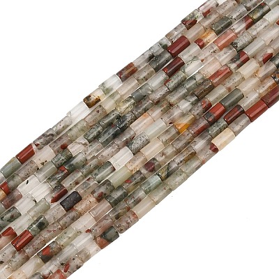 Natural African Bloodstone Beads Strands GG-CBAED3F-A10-1