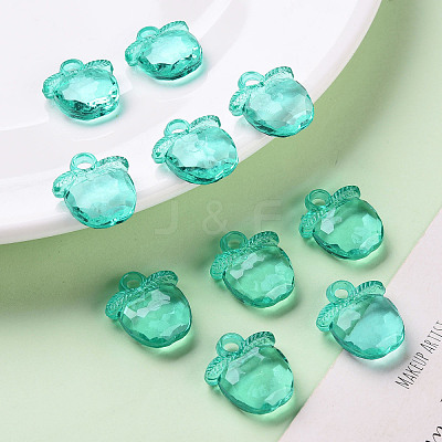 Transparent Acrylic Pendants TACR-S154-28B-68-1