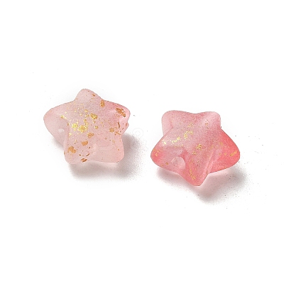 Frosted Acrylic Charms OACR-M023-04H-1
