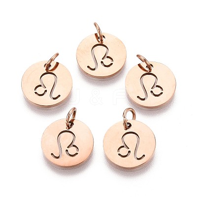 304 Stainless Steel Charms STAS-Q201-T445-5R-1
