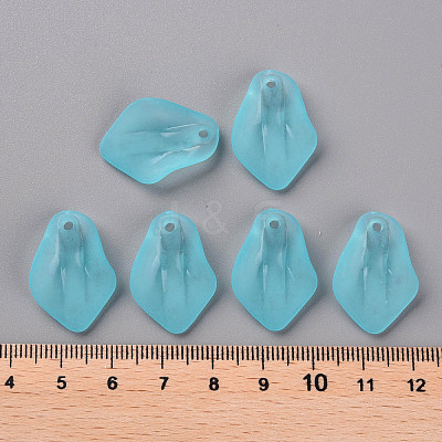 Transparent Frosted Acrylic Pendants MACR-S371-03A-755-1