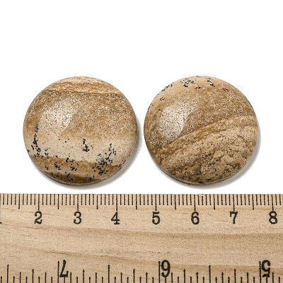 Natural Picture Jasper Cabochons G-C115-02B-22-1