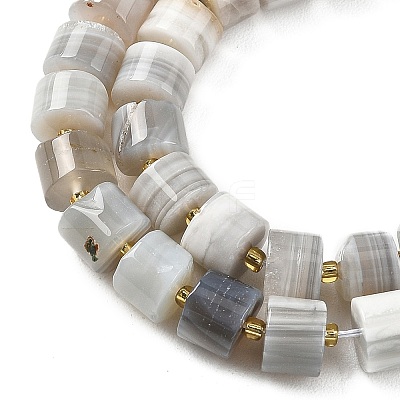 Natural Botswana Agate Beads Strands G-K245-C17-1