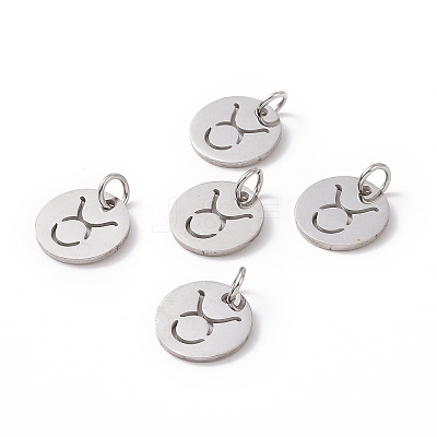 Non-Tarnish 304 Stainless Steel Charms STAS-Q201-T445-2S-1