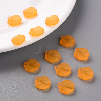 Transparent Frosted Acrylic Pendants MACR-S371-02A-724-1