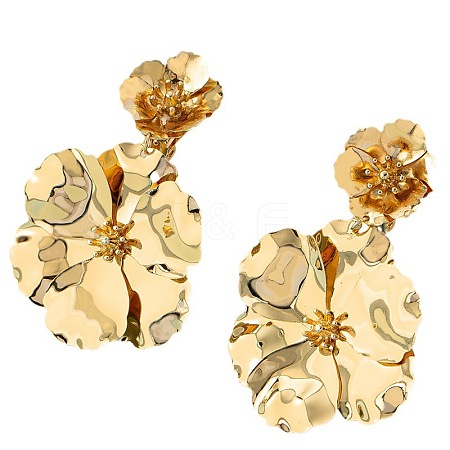 Flower Baking Paint Alloy Dangle Stud Earrings FS-WG1427E-01-1