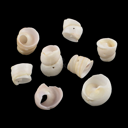 Natural Spiral Shell Beads SSHEL-R036-01-1