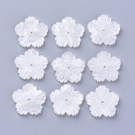  Jewelry Beads Findings Cellulose Acetate(Resin) Beads, Flower, Creamy White, 19x20x3mm, Hole: 1mm