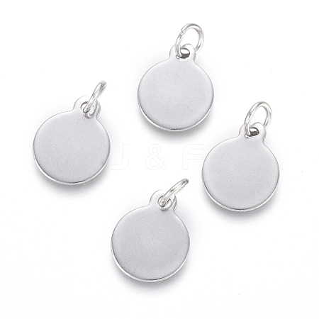 Non-Tarnish 304 Stainless Steel Charms EJEW-L238-02B-P-1