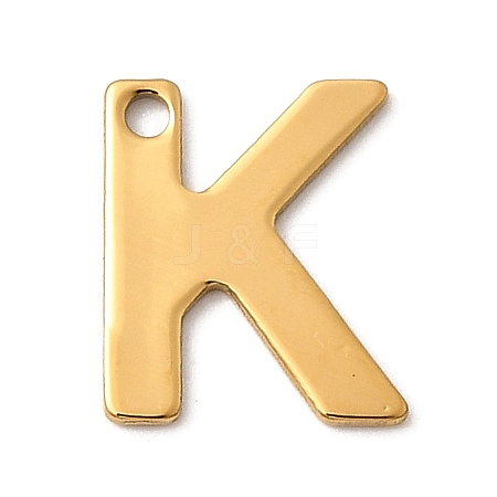 304 Stainless Steel Charms STAS-B093-12G-K-1