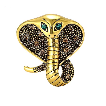 Snake Alloy Rhinestone Brooches for Backpack Clothes PW-WG03334-01-1