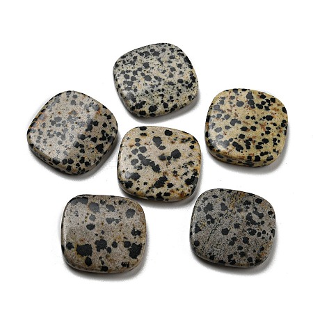 Natural Dalmatian Jasper Beads G-B050-04A-1