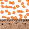 FGB Baking Paint Glass Seed Beads SEED-Q040-09A-03-4