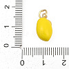 Brass with Enamel Charms LS-KK-Q096-16A-G-3
