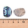 Natural Paua Shell Pendants SHEL-T020-12-3