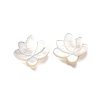 Natural White Shell Beads BSHE-Z008-09-2