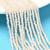 Natural Cultured Freshwater Pearl Beads Strands PEAR-C004-20B-1