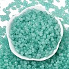 Transparent Colours Glass Seed Beads SEED-R001-01Q-3