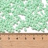 Glass Frosted Seed Beads SEED-K009-05B-05-4