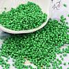 Baking Paint Glass Seed Beads SEED-S042-05B-56-1