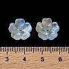 Dyed & Heated Gradient Color Glass Bead Cap GLAA-D307-01M-3