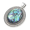 Natural Paua Shell Pendants SH-K001-01A-2