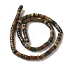 Natural Picasso Jasper Beads Strands G-Q161-D01-01-3