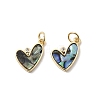 Brass Micro Pave Cubic Zirconia Pendants KK-K384-23A-G-1