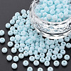 6/0 Glass Seed Beads SEED-T005-14-B19-4