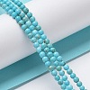 Natural Howlite Beads Strands G-E604-B04-A-2