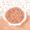 Transparent Colours Luster Glass Seed Beads SEED-N008-09I-2