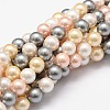 Shell Pearl Bead Strands BSHE-L017-17-1