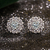 Brass Micro Pave Clear Cubic Zirconia Pendant Necklaces & Stud Earrings FS-WGDAB53-03-3