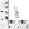 925 Sterling Silver Cubic Zirconia Charms STER-NH0014-01P-06-3