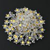 Transparent Plating Acrylic Beads MACR-CJC0001-09B-01-2