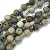 Natural Silver Leaf Jasper 3-Hole Guru Bead Strands G-K149-29-1