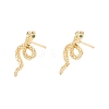 Green Cubic Zirconia Snake Stud Earrings X-EJEW-F282-25G-3