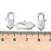Tarnish Resistant 304 Stainless Steel Lobster Claw Clasps STAS-N078-12C-4