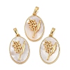 Rack Plating Brass Pave Shell Oval Pendants KK-U032-92G-11-1