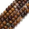 Natural Wealth Stone Beads Strands G-C289-B01-6mm-2