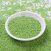 MIYUKI Round Rocailles Beads SEED-G007-RR0479-2