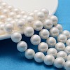 Shell Pearl Beads Strands SP10MM701-1