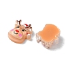 Christmas Series Resin Cabochons CRES-Q006-02C-2