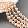 Natural Cultured Freshwater Pearl Beads Strands PEAR-A006-08B-2