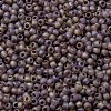 TOHO Round Seed Beads X-SEED-TR11-0166BF-2