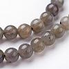 Natural Labradorite Bead Strands G-J352-01-10mm-3